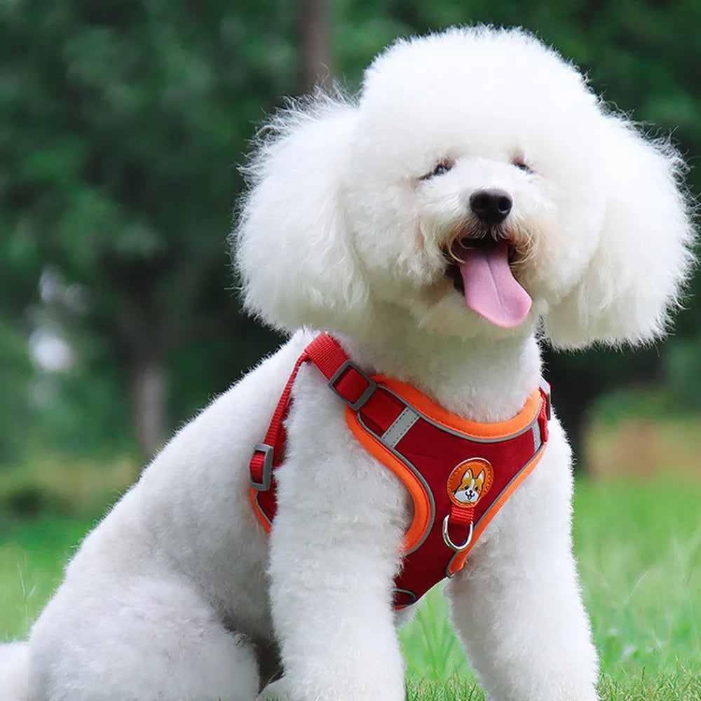 PawVenture Premium No-Pull Mesh Harness & Reflective Leash Set