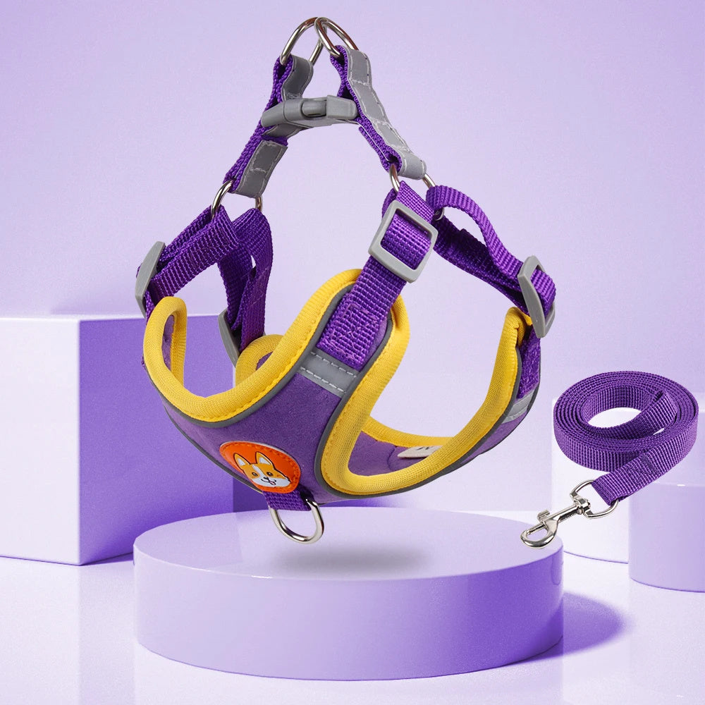 PawVenture Premium No-Pull Mesh Harness & Reflective Leash Set