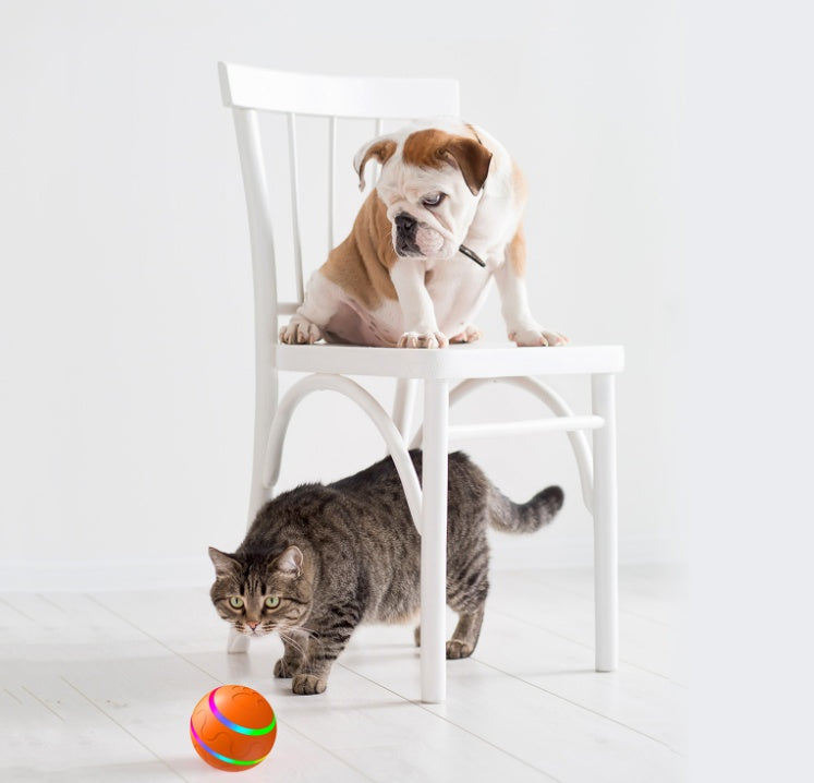 PawVenture Smart Cat Toy Ball – Self-Rotating, LED Light, USB Rechargeable