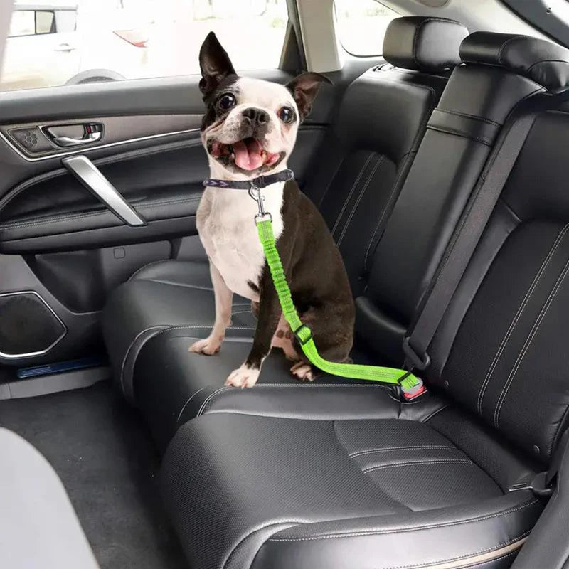 PawVenture Premium Car Safety Harness & Seat Belt for Dogs & Cats