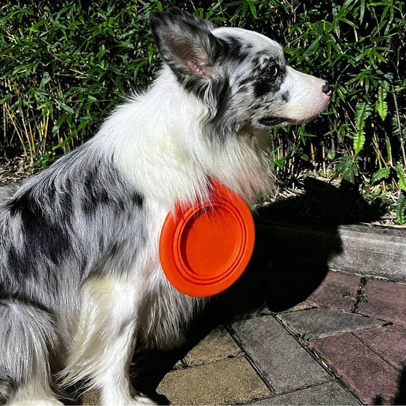 Collapsible Dog Bowl Food Silicone Pet Travel Bowl Portable Foldable Puppy Cat Water Feeder Outdoor Camping Dish with Carabiner