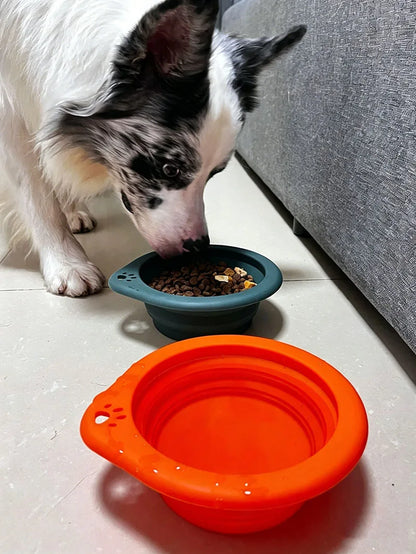 Collapsible Dog Bowl Food Silicone Pet Travel Bowl Portable Foldable Puppy Cat Water Feeder Outdoor Camping Dish with Carabiner