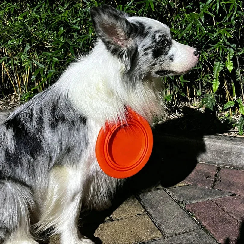 Collapsible Dog Bowl Food Silicone Pet Travel Bowl Portable Foldable Puppy Cat Water Feeder Outdoor Camping Dish with Carabiner