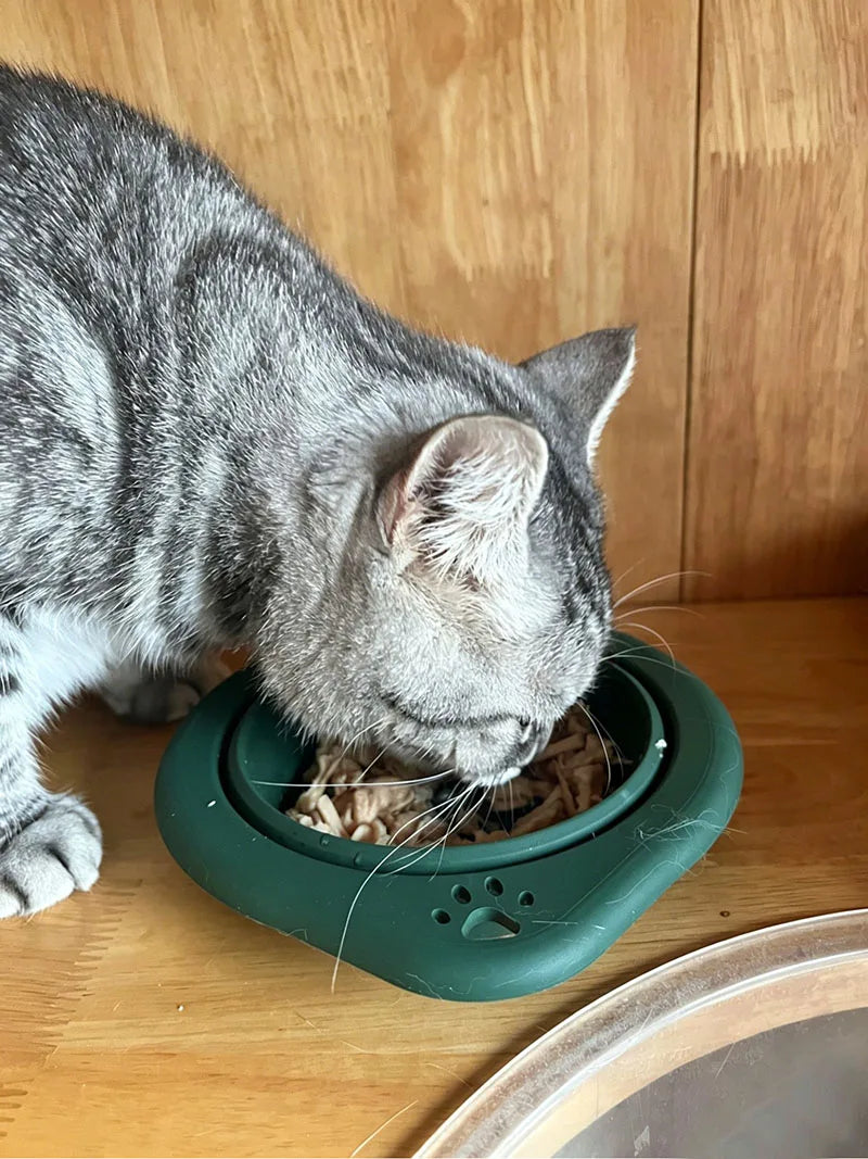 Collapsible Dog Bowl Food Silicone Pet Travel Bowl Portable Foldable Puppy Cat Water Feeder Outdoor Camping Dish with Carabiner